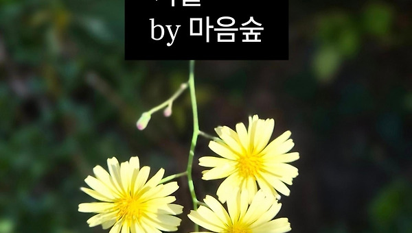 아침 산바카라길 55