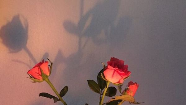 선택하지 않은 것도 선택이다.