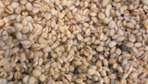 Barley with Basil