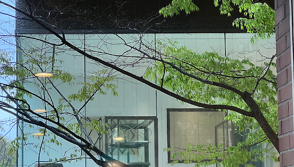친구의 장례식장에 가지 않았다