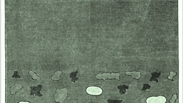 찰스 다윈: 삶의 응급 상황에서 