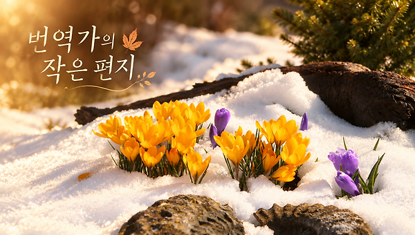 엣쿄노미와 유행어