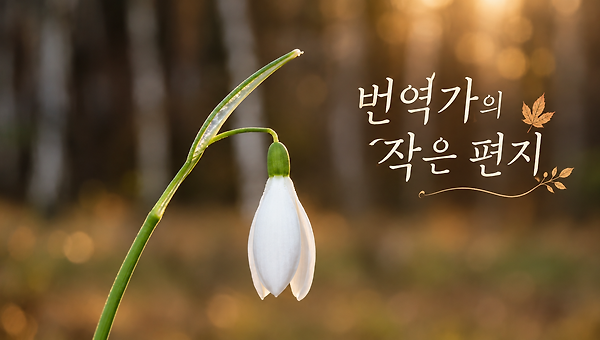 번역가의 완찬과 대학/대학원