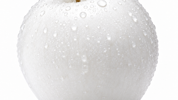 블랭크 화이트 : Blank White