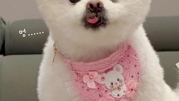 멍..