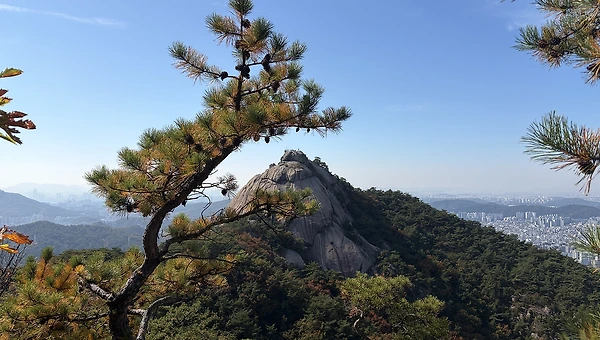 선집에 대하여
