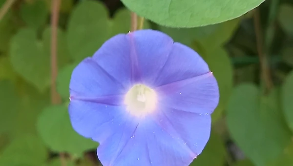 너를 보러갈께