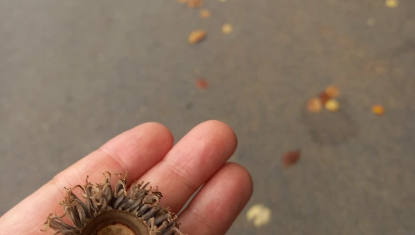고요한 방에서 