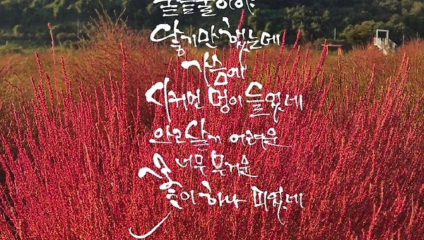 너에게 물들다 -백은하