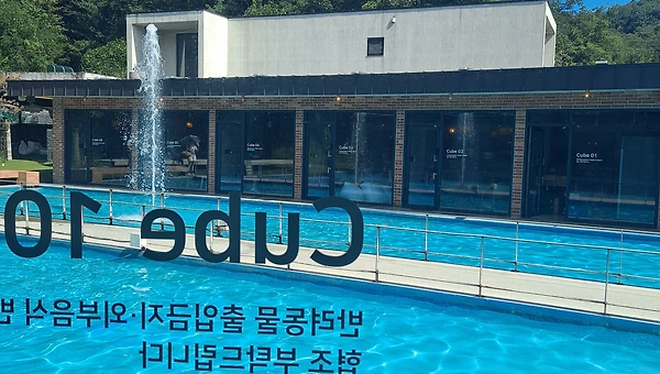 토피어리가 된 친구