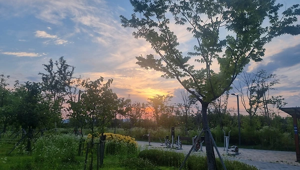 어디에 희망을 두어야 할까?