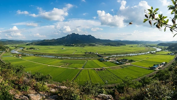 DMZ 소이산 매미 소리, 영웅들의 이름을 부르다