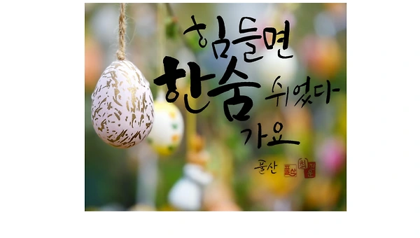 캘리그래퍼의 逍遙(소요)