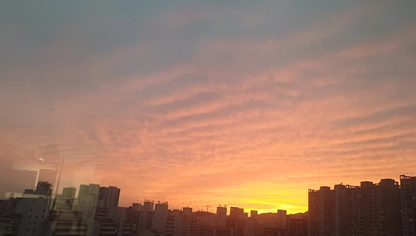 문신으로 막을 수 있나