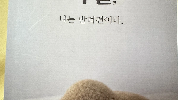 바카라을 내다