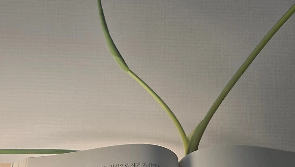 나를 일깨우는 한 줄