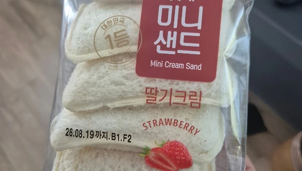 아이에게 선택권을 주니 여행의 아침이 달라졌습니다