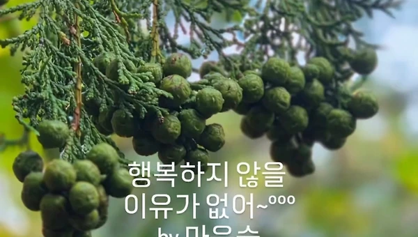 아침 산바카라길 57