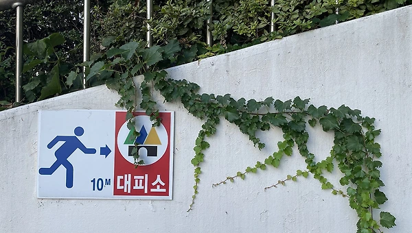 자아 포기