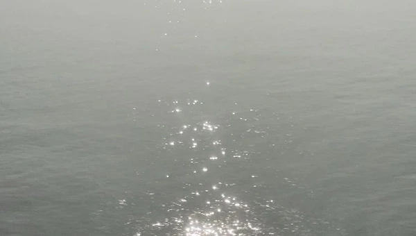 회색 평화