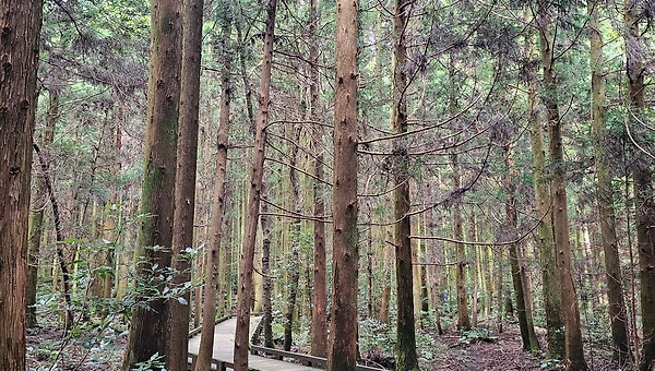 괜찮다