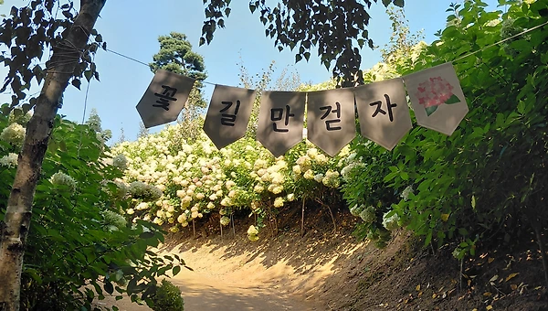 삶이 건네준 작은 이야기들